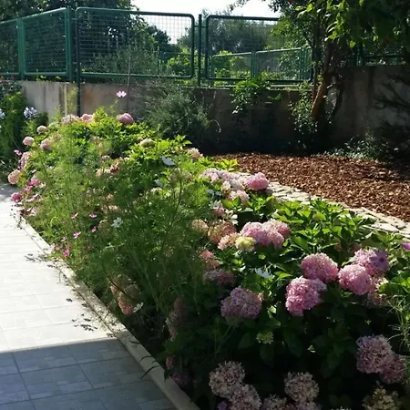 Ivica Apartman Trogir